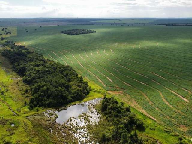 Fazenda excelente em paraíso das águas/ms