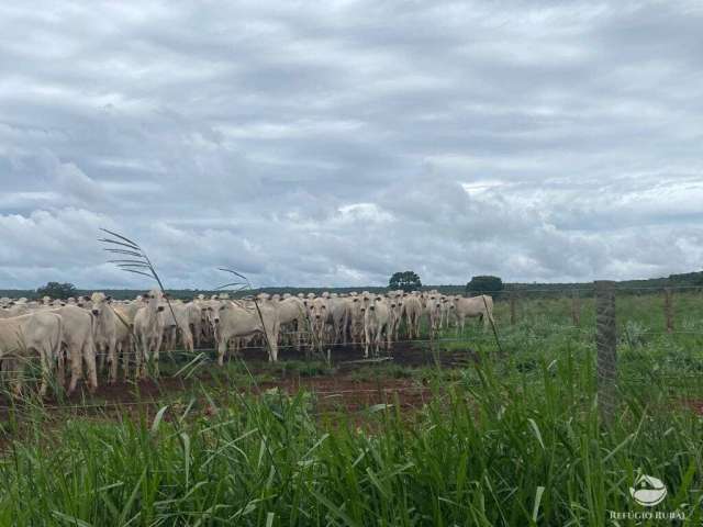 Fazenda muito boa com sede, barracão e curral próxima a cidade chapadão do sul-ms