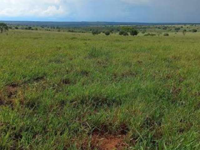 Fazenda em Paraíso das Águas/ MS com 2.000 Hectares, Próximo ao asfalto.