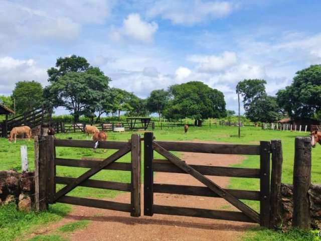 Fazenda de 163 alqueires propícia para criação de gado com casa sede e represas com nascente