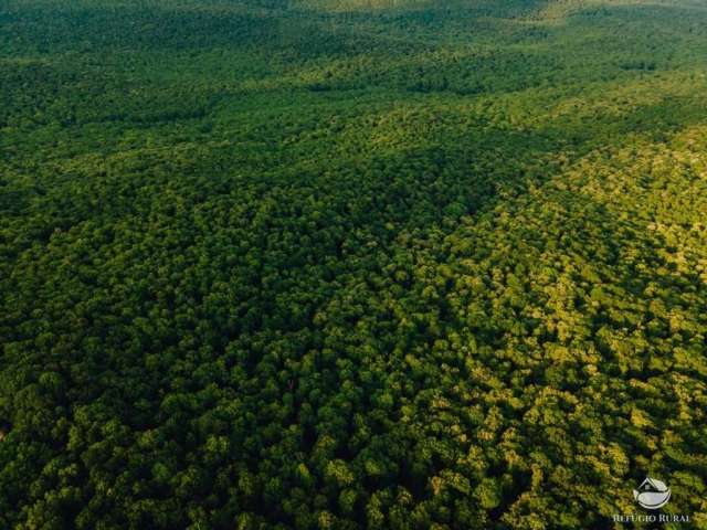 Fazenda em santa terezinha/mt -  ideal para a compensação de carbono