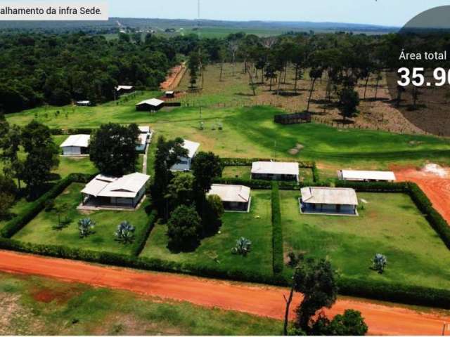 Incrível fazenda com ótima infraestrutura em mutum/mt