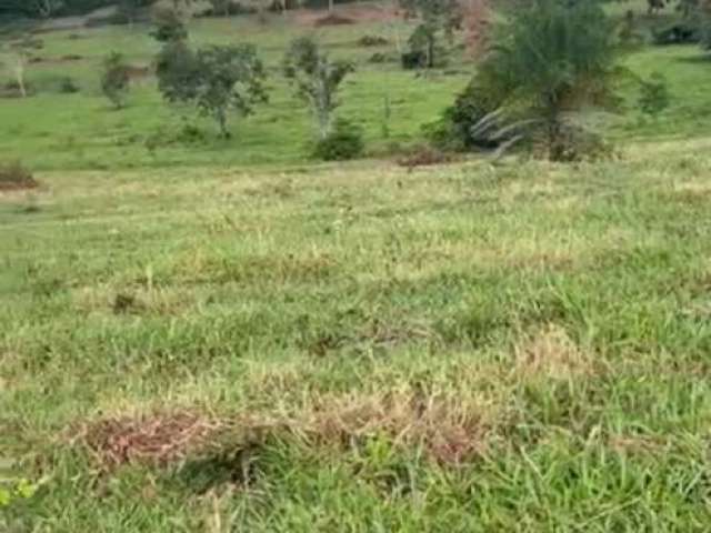 Fazenda com 30 hectares  em costa rica/ms