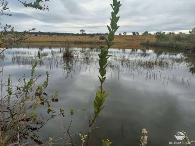 Fazenda imperdível em figueirão/ms