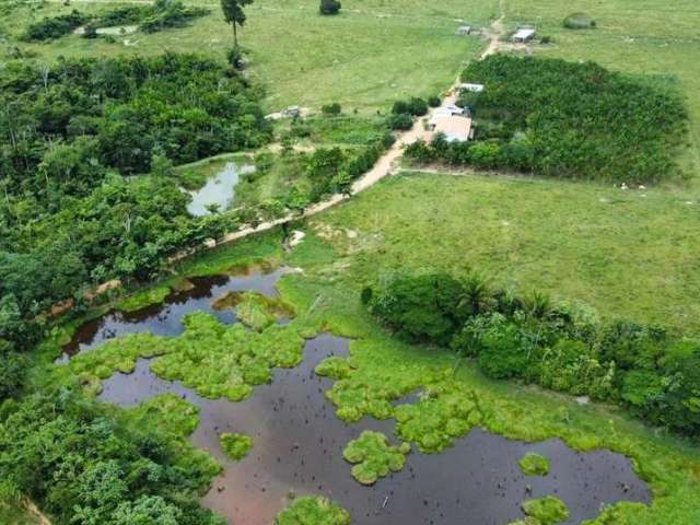 Fazenda excelente em novo progresso/pa