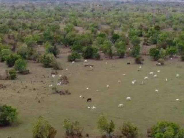 Fazenda imperdível em corumbá/ms