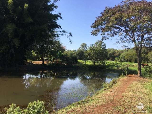 Sítio imperdível com uma linda paisagem em itambaracá/pr