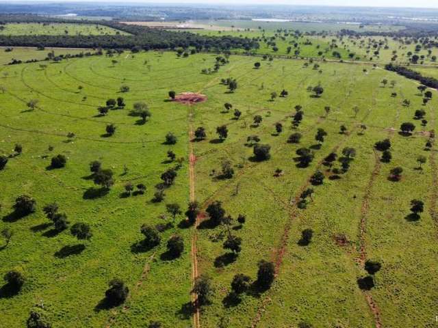 Fazenda incrível com excelente estrutura e localização em inocência/ms