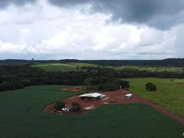 Fazenda lindíssima com ótima estrutura em primavera do leste/mt