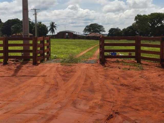 Fazenda excelente com ótima localização em cassilândia/ms