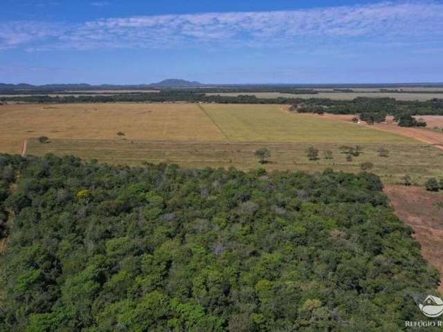 Fazenda incrível em alvorada/to