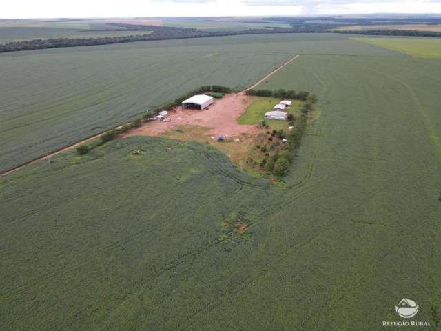 Fazenda excelente em primavera do leste/mt