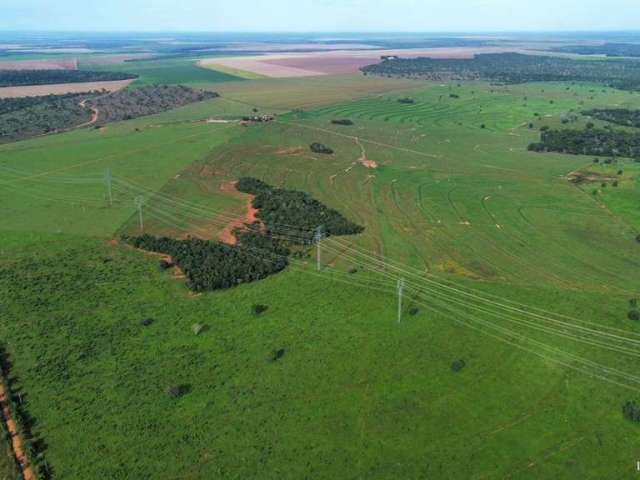 Fazenda incrível em novo joaquim/mt