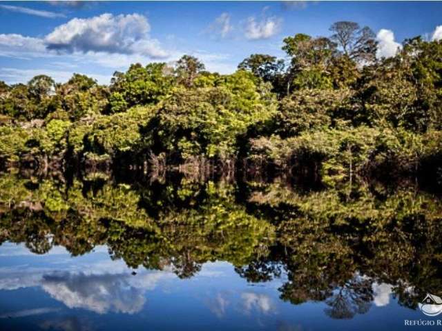 Fazenda incrível em manicoré/am