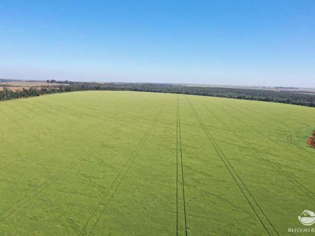 Fazenda incrível em corpus christi no paraguai