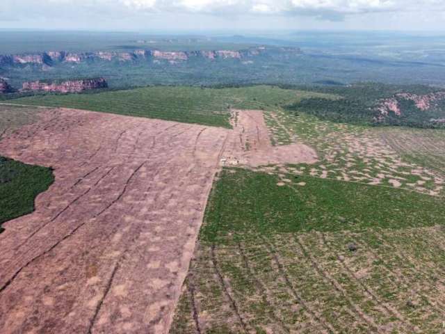 Fazenda incrível em palmeira do piauí/pi - ótima oportunidade de negócio!