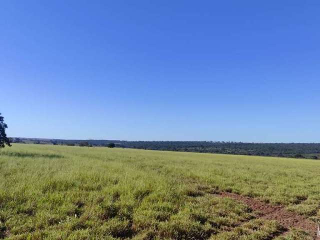 Fazenda incrível próximo a chapadão do sul/ms