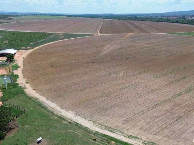 Fazenda imperdível em joão pinheiro/mg