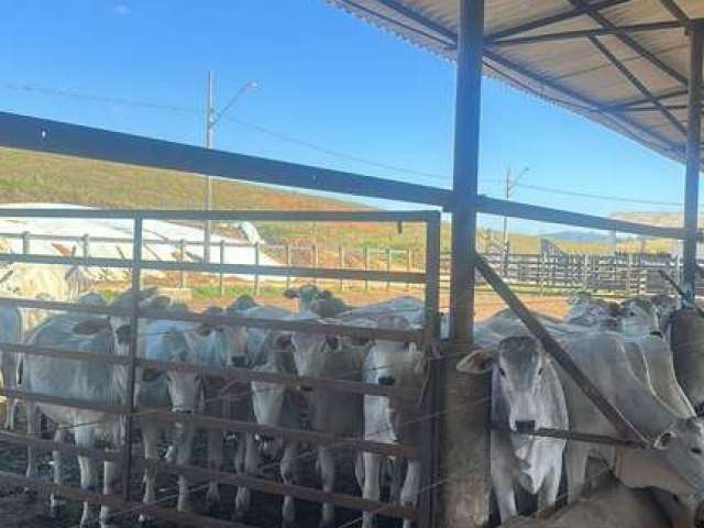 Fazenda imperdível em são josé dos campos/sp