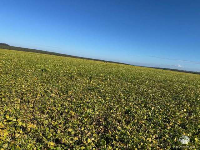 Fazenda incrível em joão pinheiro/mg