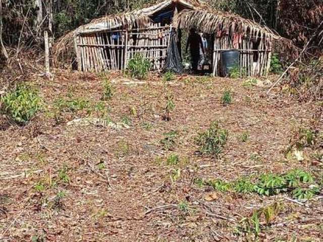 Fazenda localizada em tesouro/mt