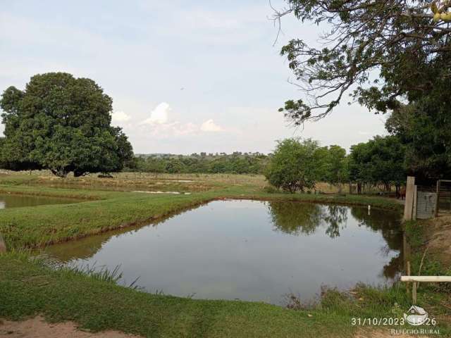 Fazenda excelente em tesouro/mt