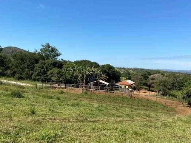 Fazenda incrível ideal para criação de gado em brasília/df