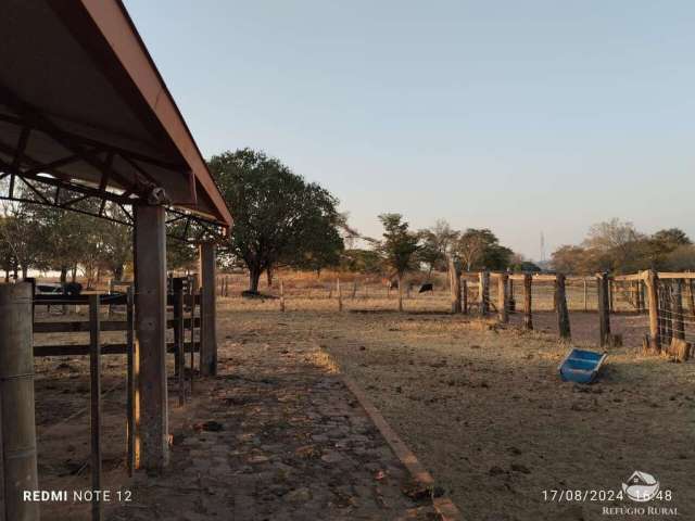 Fazenda excelente em cassilândia/ms