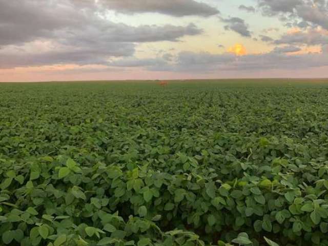 Fazenda incrível em nova brasilândia/mt