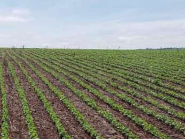 Fazenda imperdível em paranatinga/mt