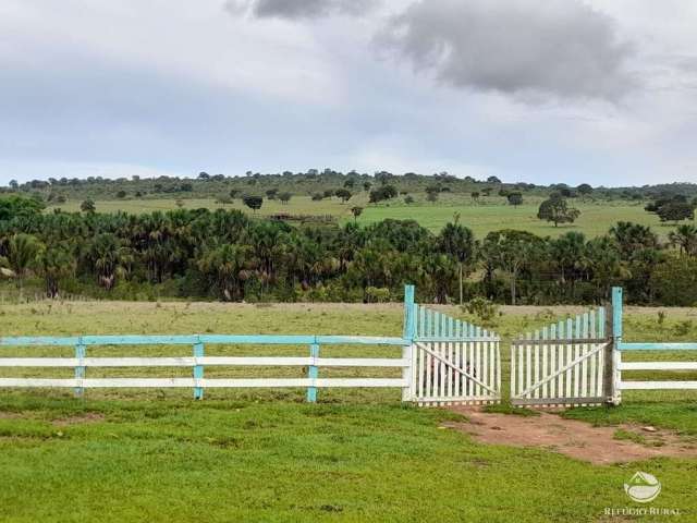 Fazenda incrível em minaçu/go