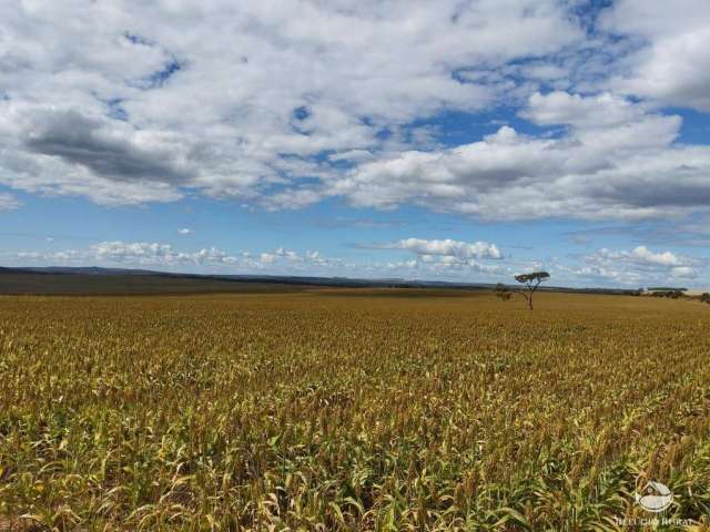 Fazenda completa em água fria de goiás/go