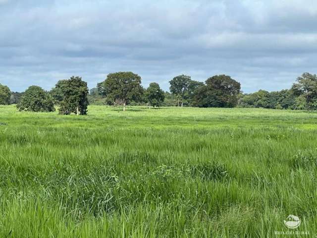 Fazenda porteira fechada em cocalinho/mt