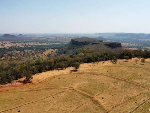 Fazenda incrível em figueirão/ms