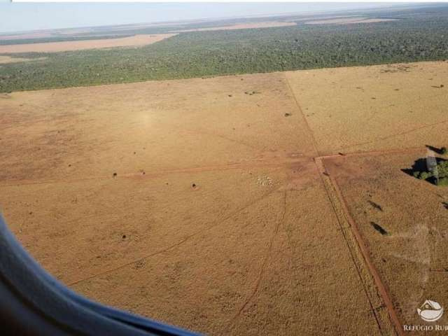 Fazenda imperdível em canarana/mt