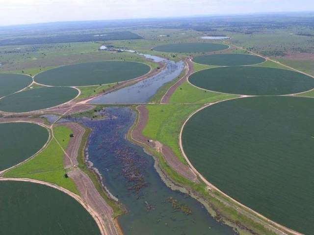 Fazenda incrível em jussara/go