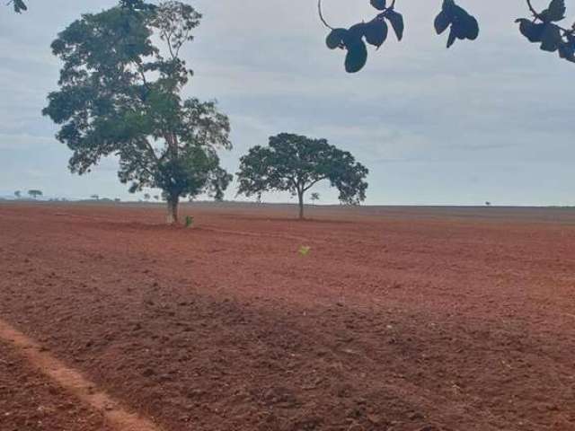 Fazenda excelente dupla aptidão em rosário oeste/mt