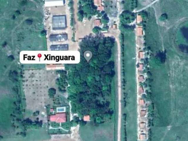 Fazenda com estrutura completa e casa sede alto padrão em xinguara/pa