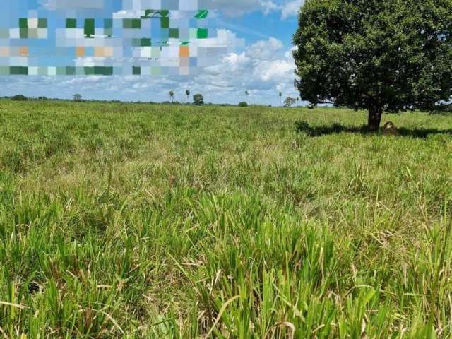 Fazenda incrível com ótima estrutura no sul do pará