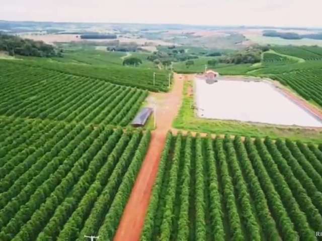 Excelente fazenda de café em patos de minas/mg