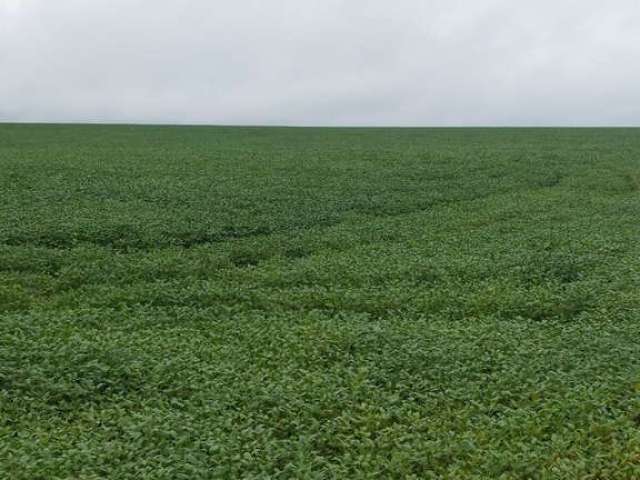 Fazenda excelente em paraíso do tocantins/to