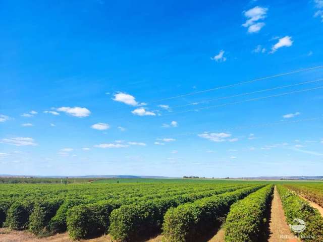 Fazenda imperdível em patos de minas/mg