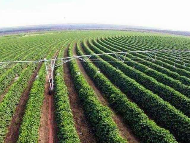 Excelente fazenda de café em buritizeiro/mg