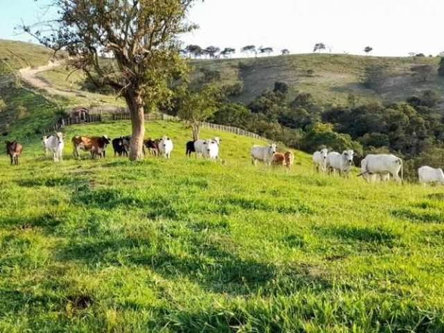 Fazenda imperdível em cunha/sp