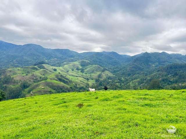 Lindo terreno com vista espetacular em são francisco xavier