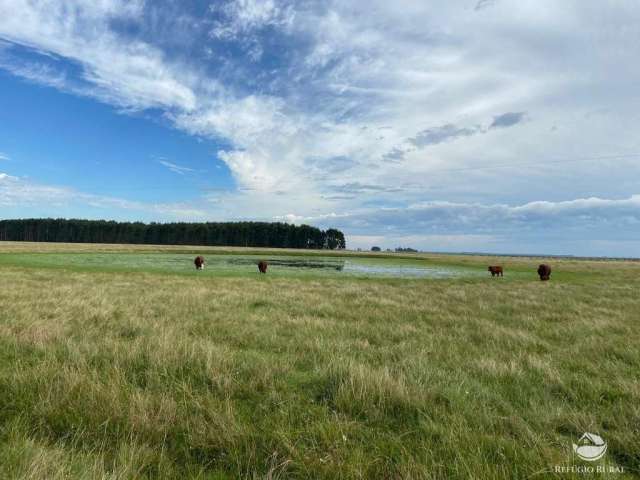 Fazenda imperdível no uruguai