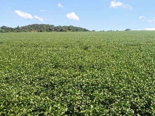 Fazenda à venda, tomazina, Tomazina, PR