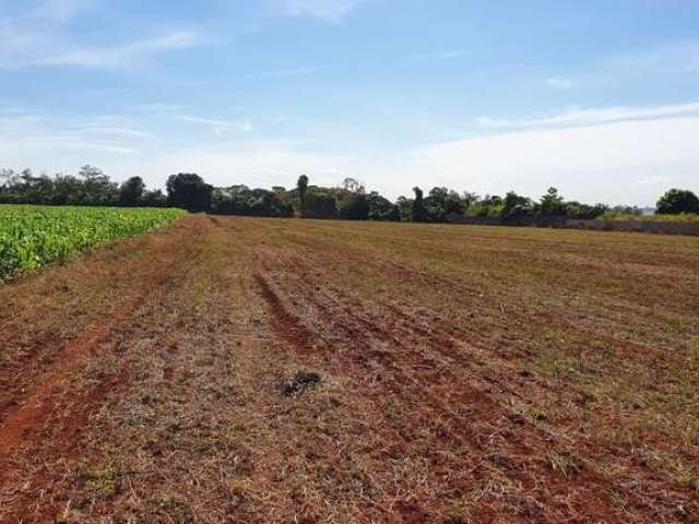 Sítio à venda, Gleba Fazenda Palhano, Londrina, PR