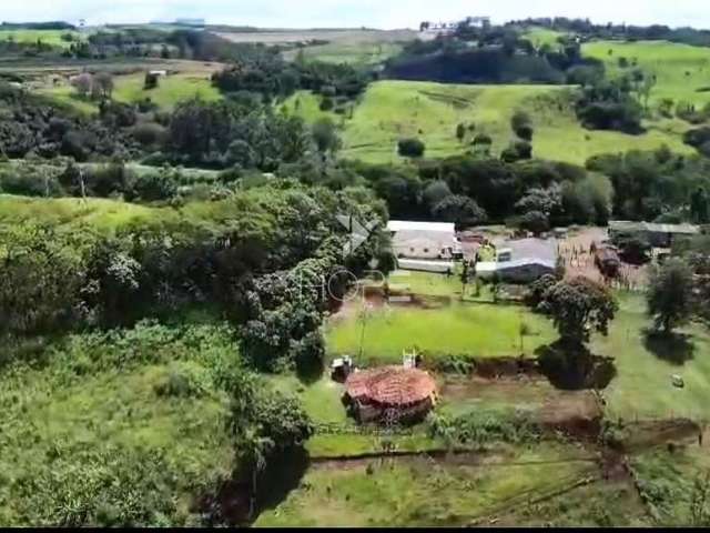 Fazenda à venda, Área Rural de Apucaranana, Apucarana, PR