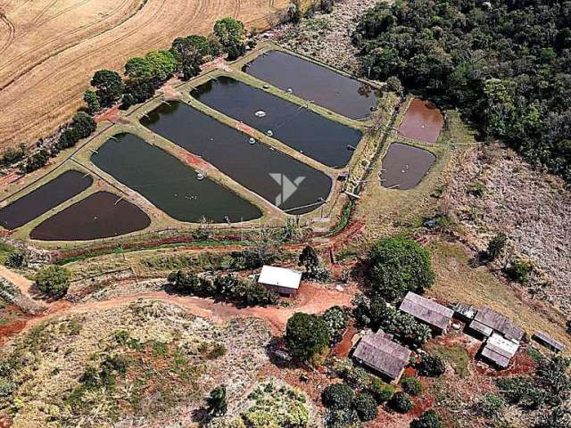 Sítio à venda, Núcleo Habitacional Afonso Alves de Camargo, Apucarana, PR